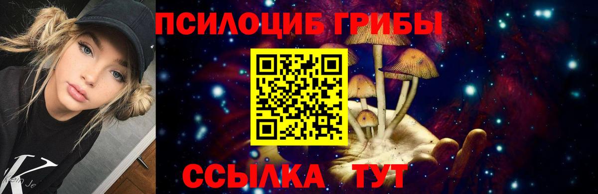 Галлюциногенные грибы Cubensis  Вход с VPN  Псилоцибиновые грибы прущие грибы  Новочебоксарск 